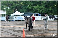 4H-District-2005-1595.jpg