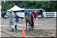 4H-District-2005-1597.jpg