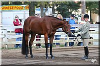 4H-District-2005-1598.jpg