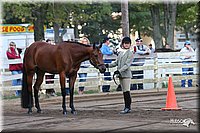 4H-District-2005-1599.jpg