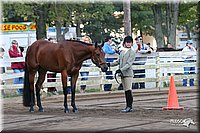 4H-District-2005-1600.jpg