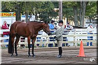 4H-District-2005-1602.jpg