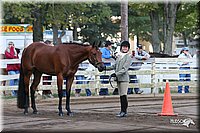 4H-District-2005-1603.jpg