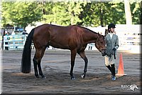 4H-District-2005-1609.jpg