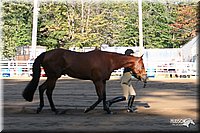 4H-District-2005-1610.jpg