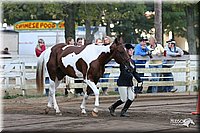 4H-District-2005-1616.jpg