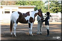 4H-District-2005-1620.jpg