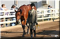 4H-District-2005-1631.jpg