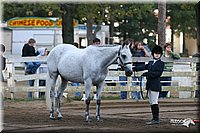 4H-District-2005-1645.jpg