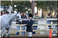 4H-District-2005-1649.jpg