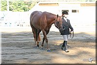 4H-District-2005-1673.jpg