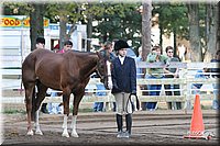 4H-District-2005-1676.jpg