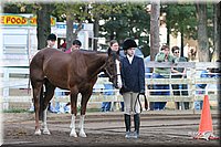 4H-District-2005-1677.jpg