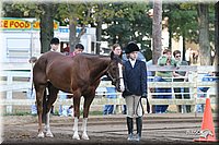 4H-District-2005-1678.jpg