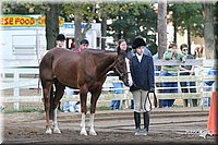 4H-District-2005-1680.jpg