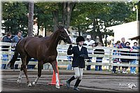 4H-District-2005-1681.jpg