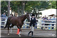 4H-District-2005-1682.jpg