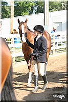 4H-District-2005-1704.jpg