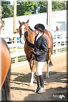 4H-District-2005-1705.jpg