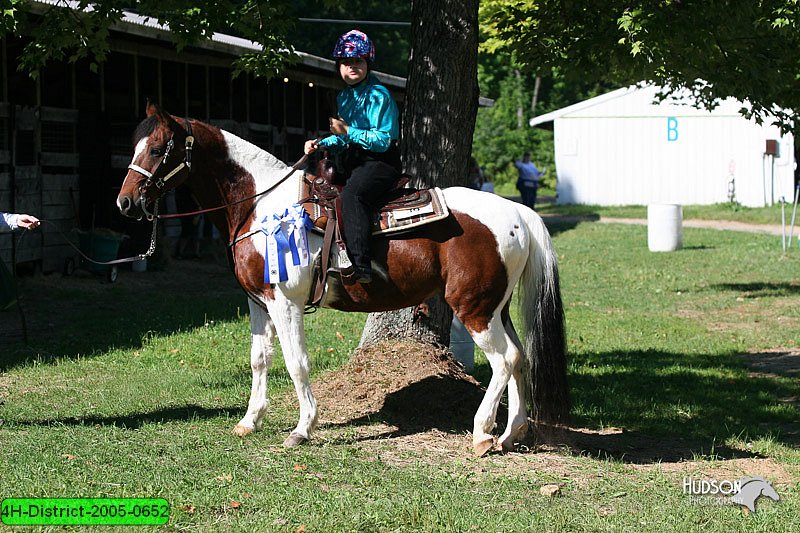 4H-District-2005-0652.jpg