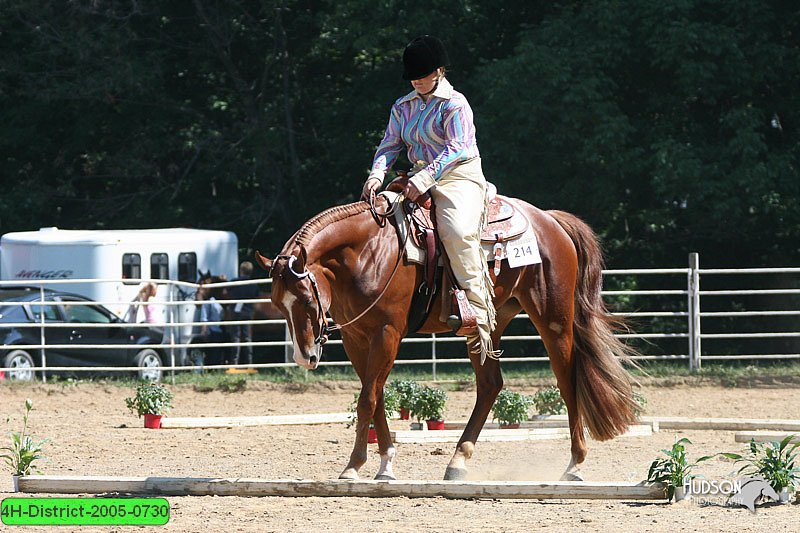 4H-District-2005-0730.jpg