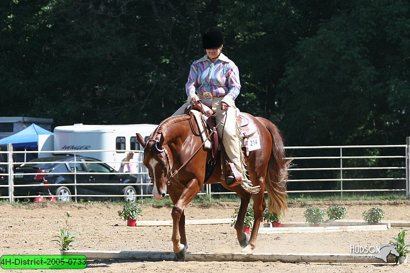 4H-District-2005-0733.jpg