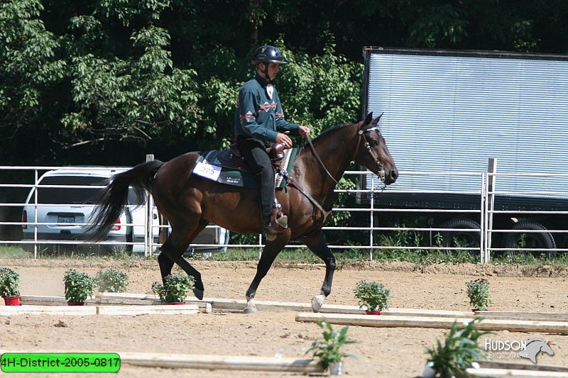 4H-District-2005-0817.jpg