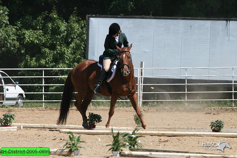 4H-District-2005-0895.jpg