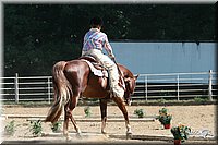 4H-District-2005-0735.jpg