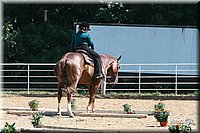 4H-District-2005-0790.jpg