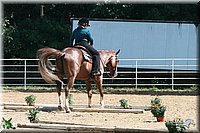 4H-District-2005-0791.jpg