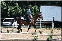 4H-District-2005-0817.jpg