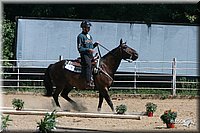 4H-District-2005-0820.jpg