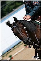 4H-District-2005-0837.jpg