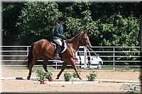 4H-District-2005-0893.jpg