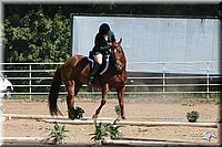 4H-District-2005-0894.jpg