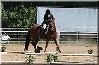 4H-District-2005-0895.jpg