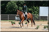 4H-District-2005-0896.jpg