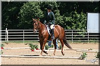 4H-District-2005-0897.jpg