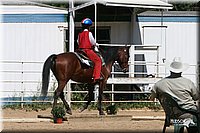 4H-District-2005-0918.jpg