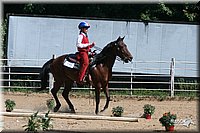 4H-District-2005-0930.jpg