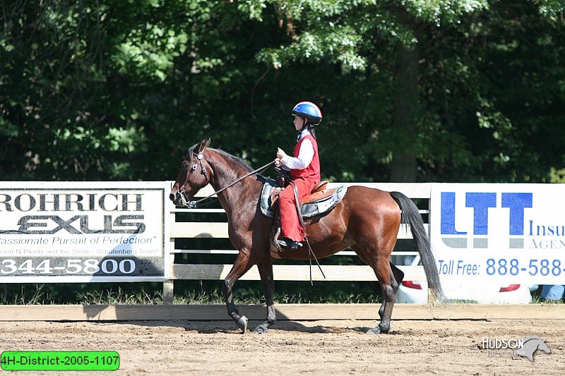 4H-District-2005-1107.jpg