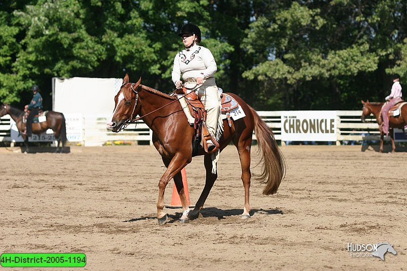4H-District-2005-1194.jpg