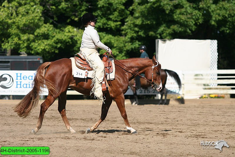 4H-District-2005-1196.jpg