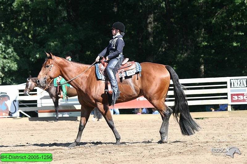 4H-District-2005-1256.jpg