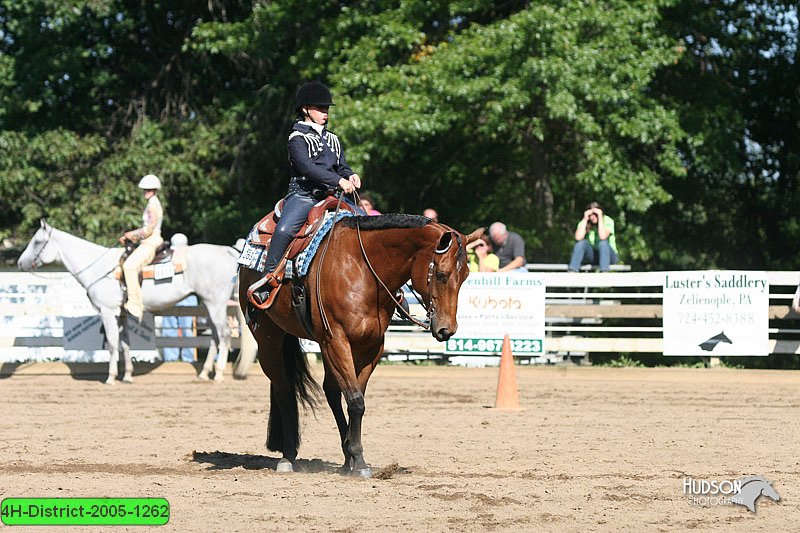 4H-District-2005-1262.jpg