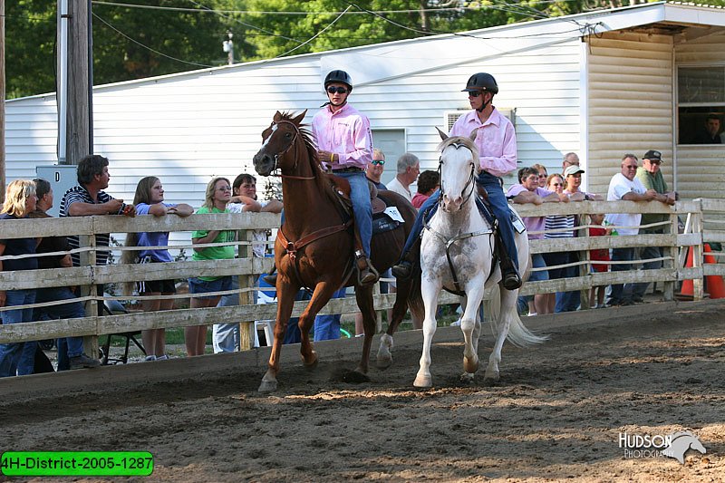 4H-District-2005-1287.jpg