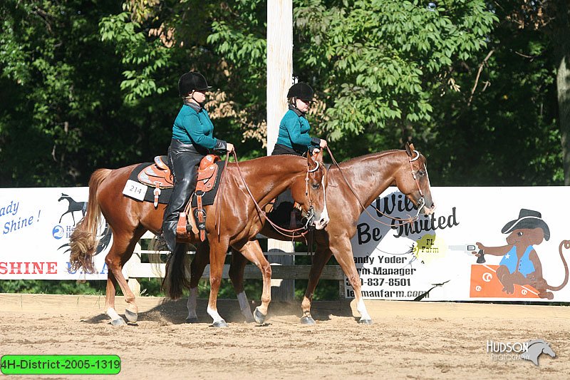 4H-District-2005-1319.jpg