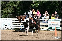 4H-District-2005-1218.jpg