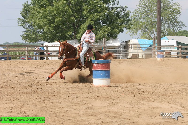 4H-Fair-Show-2005-0536.jpg